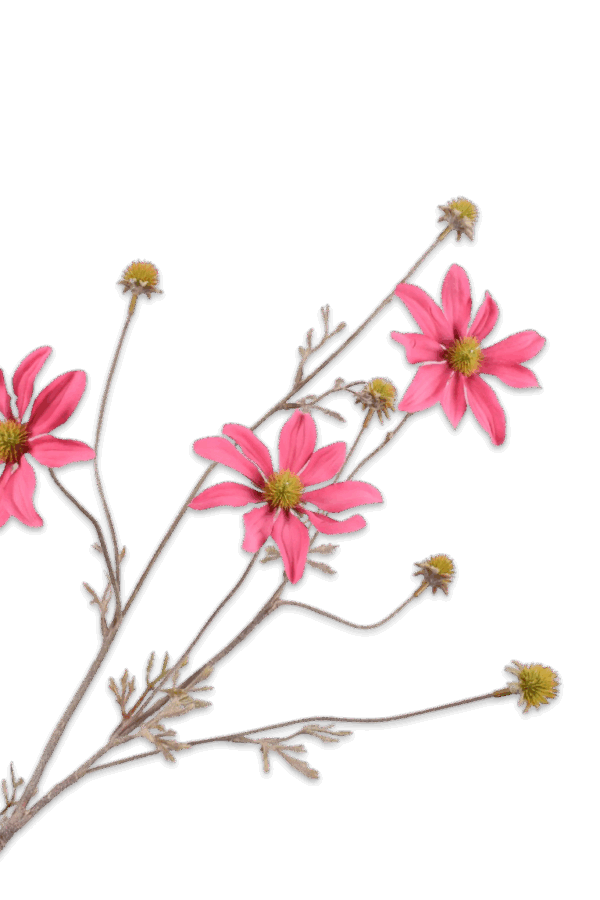 Rudbeckia tak roze 65 cm Silk-ka