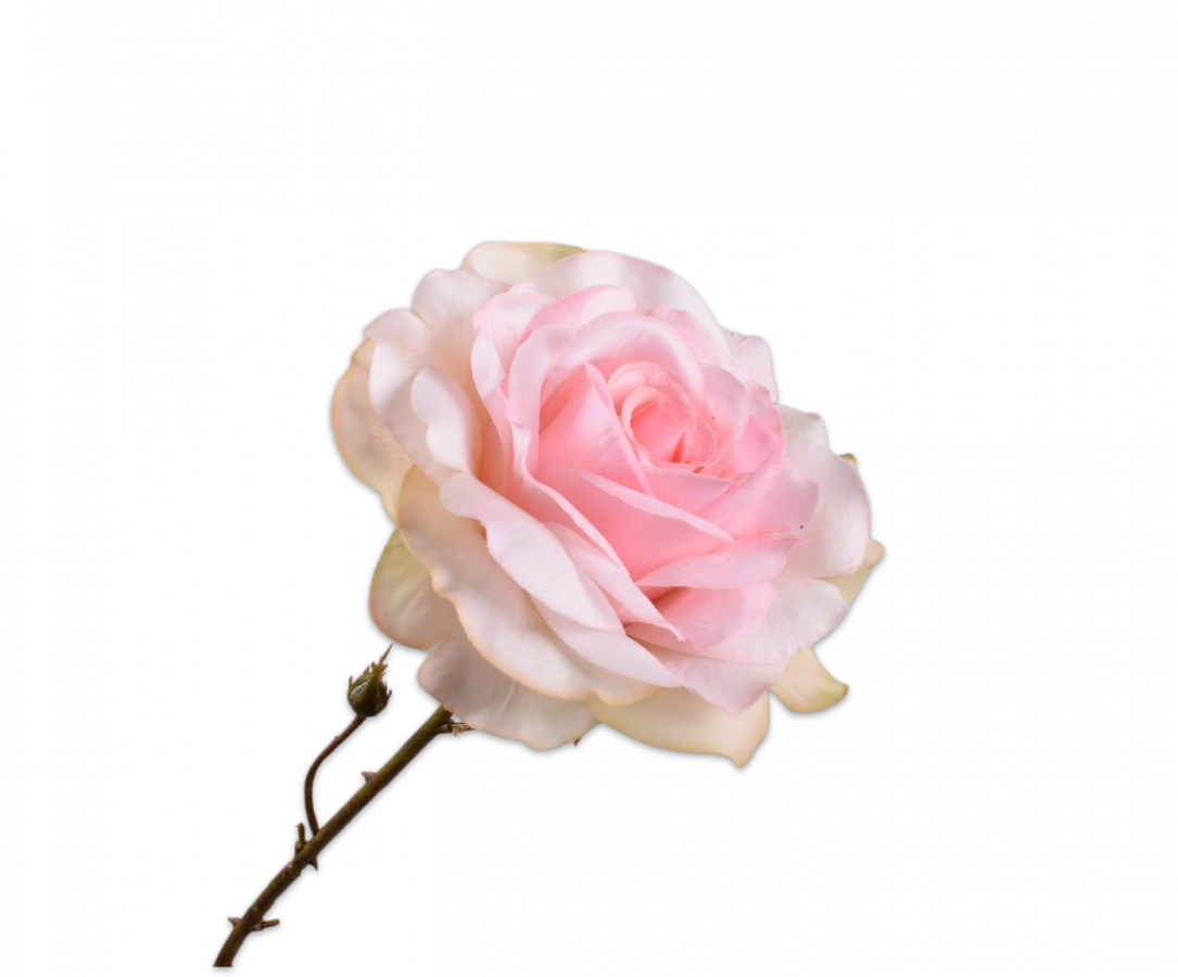 Roos zacht roze 72 cm silk-ka