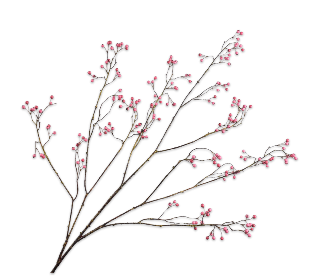 Bessentak roze 133 cm Silk-ka