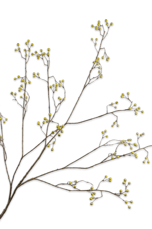 Bessentak groen 133 cm Silk-ka