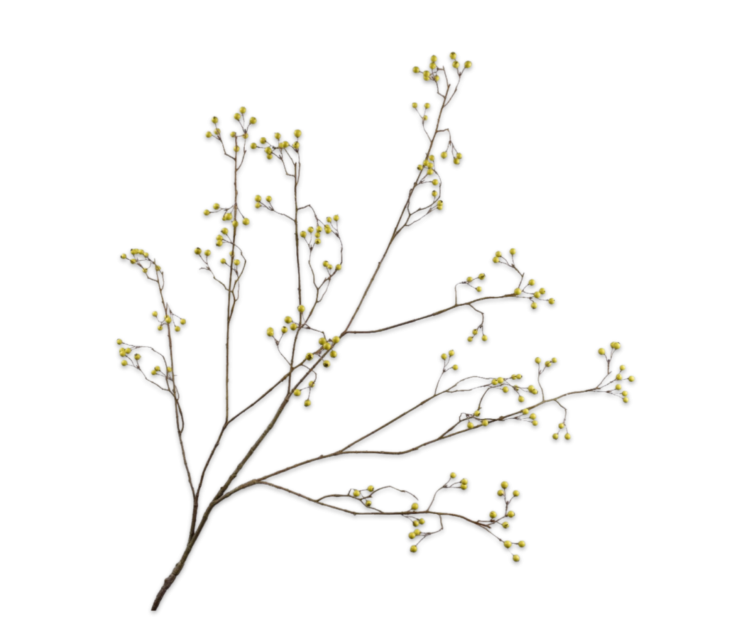 Bessentak groen 133 cm Silk-ka