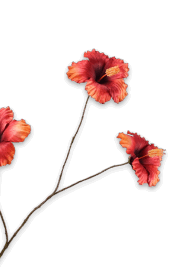 Hibiscus tak oranje 85 cm Silk-ka
