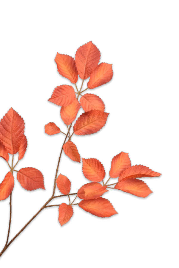 Bladtak oranje 74 cm Silk-ka