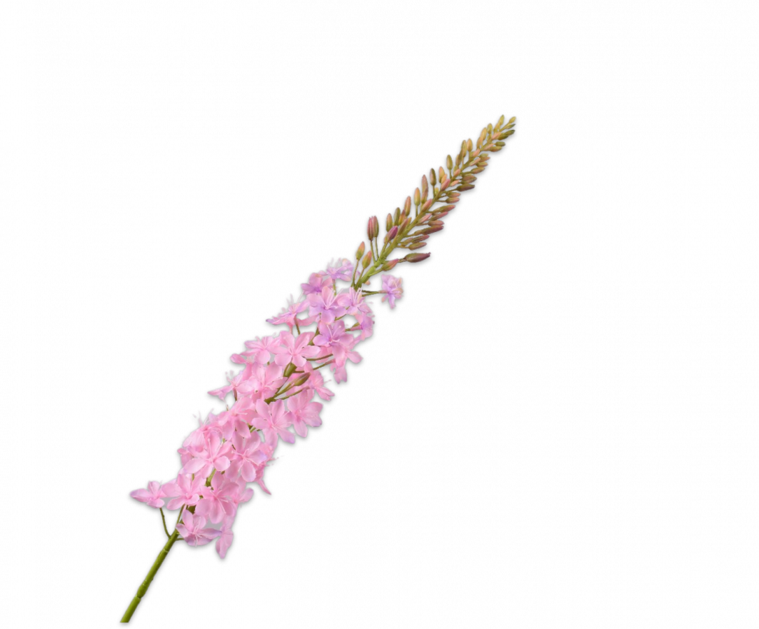 Eremurus steel roze 107 cm Silk-ka