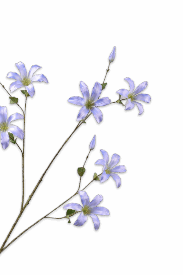 Clematis tak blauw 114 cm Silk-ka