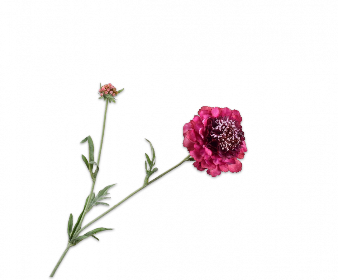 Scabiosa roze 71 cm Silk-ka Real touch