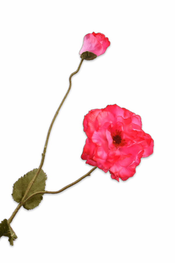 Klaproos tak roze 109 cm Silk-ka real touch