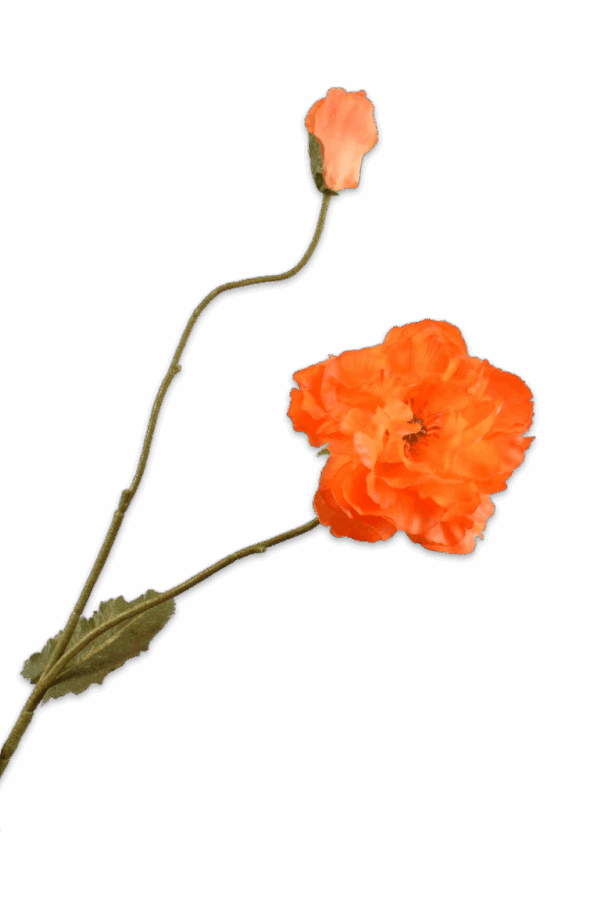 Klaproos tak oranje 109 cm Silk-ka real touch