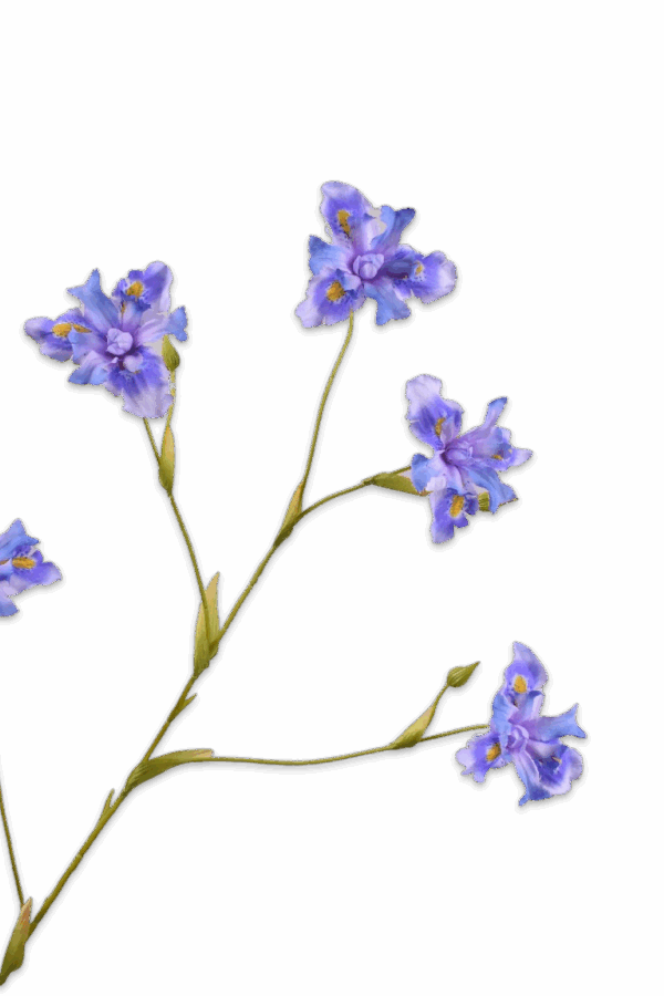 iris tak lavendel 86 cm Silk-ka