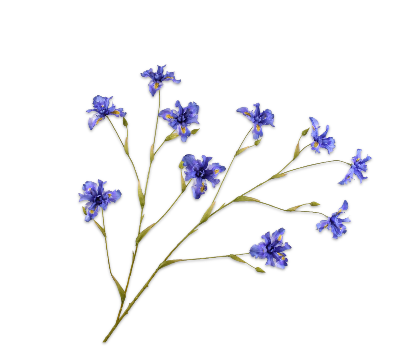 iris tak blauw 125 cm Silk-ka