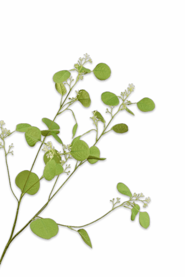 Eucalyptus tak groen H84 cm Silk-ka