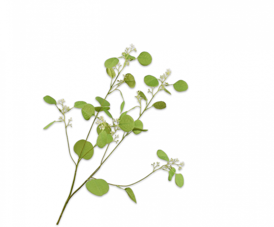 Eucalyptus tak groen H84 cm Silk-ka