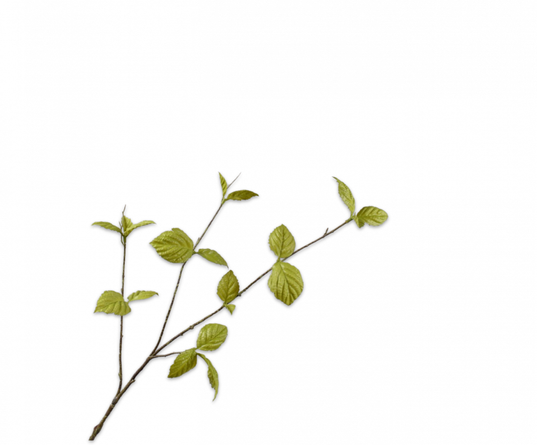 Bladtak groen 85 cm Silk-ka