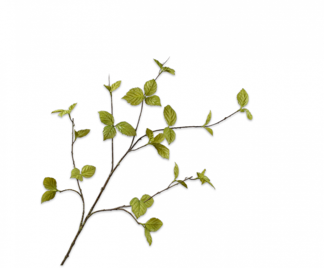 Bladtak groen 116 cm Silk-ka