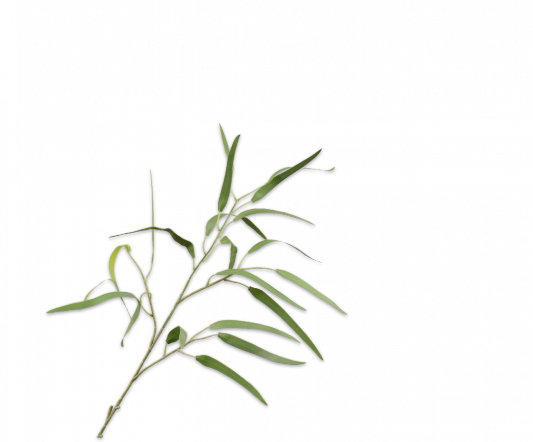 Eucalyptus tak groen 86 cm Silk-ka