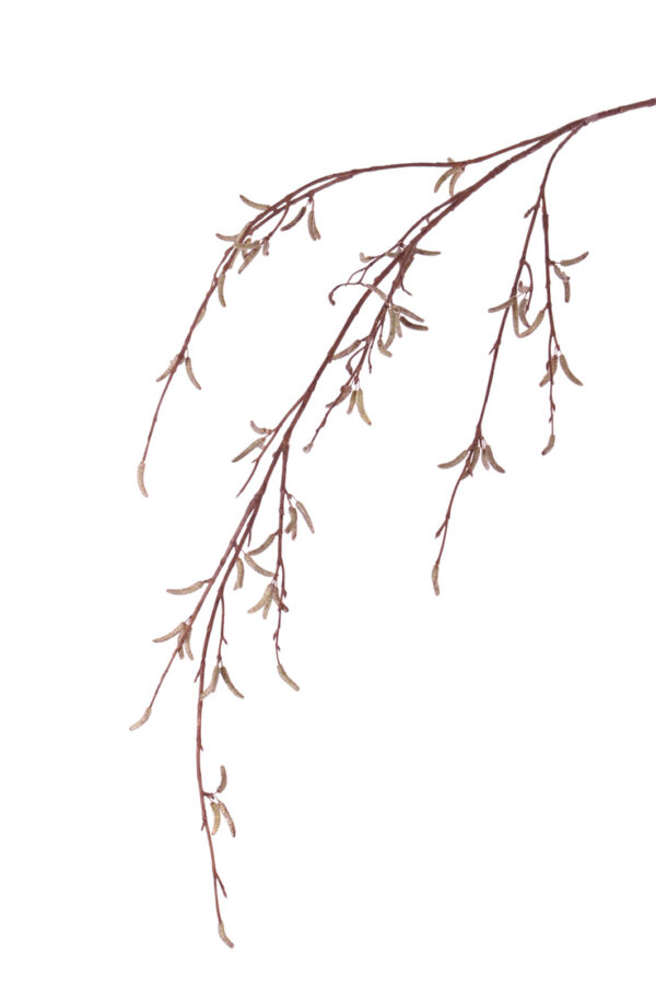 Berkenkatjestak -H91 cm