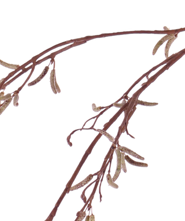 Berkenkatjestak -H91 cm - Afbeelding 2