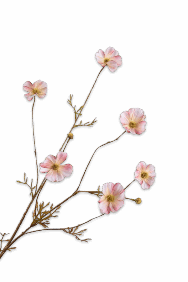 Cosmos tak roze 77 cm Silk-ka