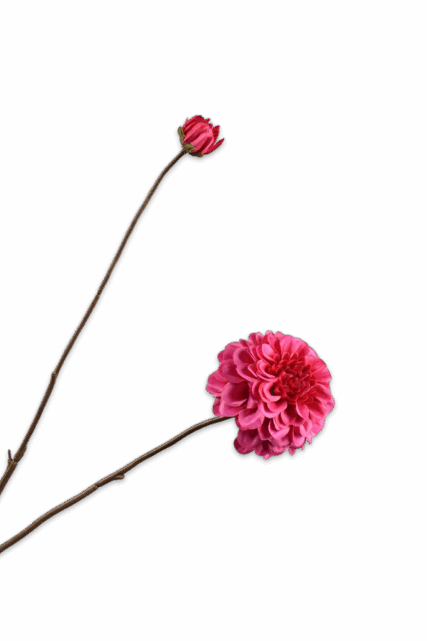 Dahlia tak fuchsia beauty 86 cm Silk-ka