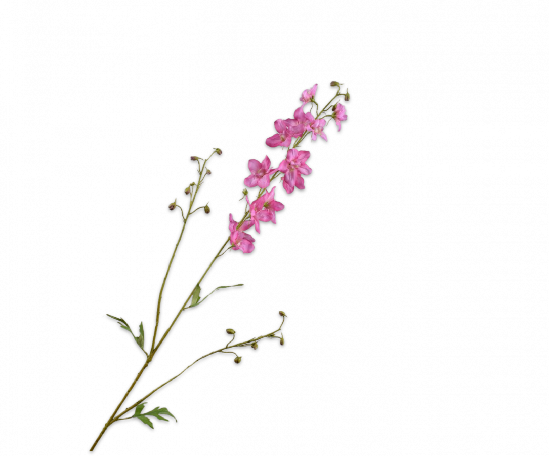 Ridderspoor Delphinium roze 101 cm Silk-ka