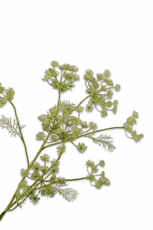 Dille tak groen 105 cm Silk-ka