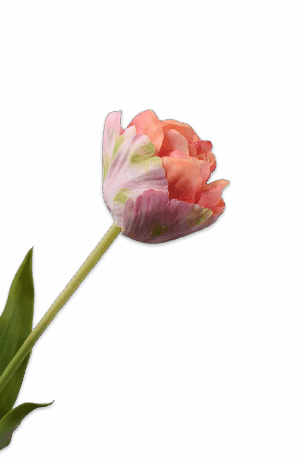 tulp tulp roze / groen 66 cm Silk-ka