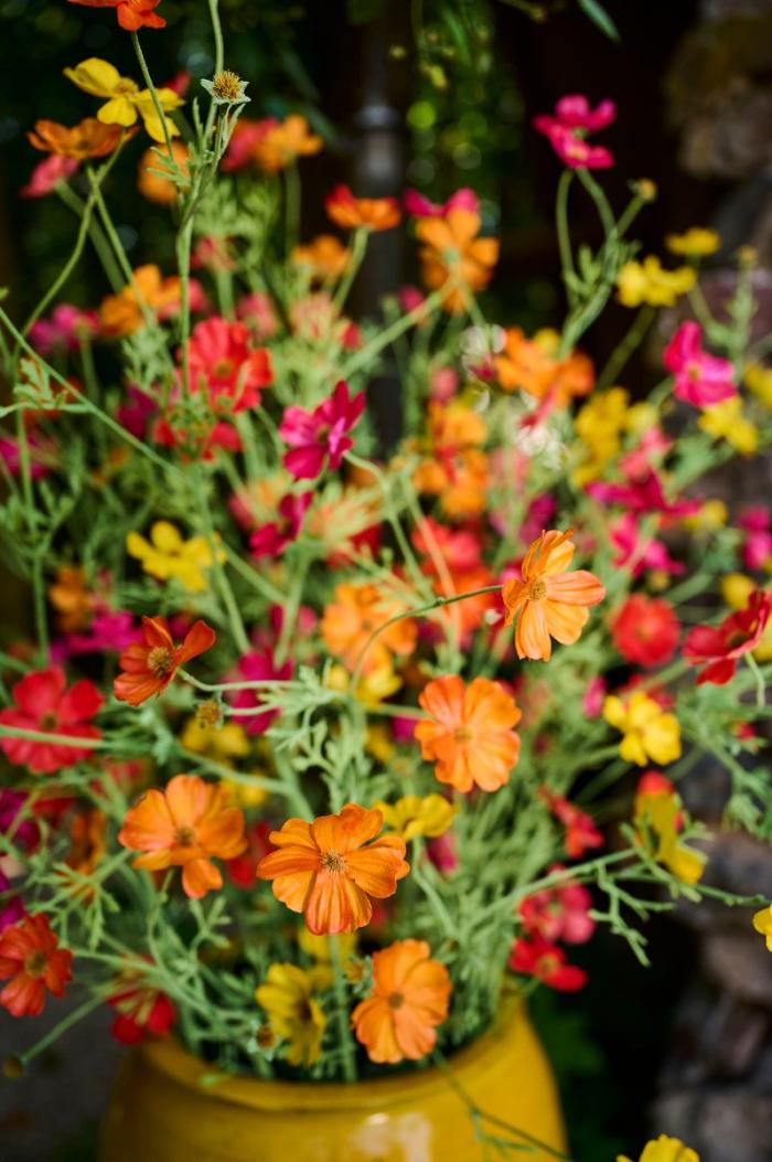 Cosmos tak roze 77 cm Silk-ka Real touch - Afbeelding 5