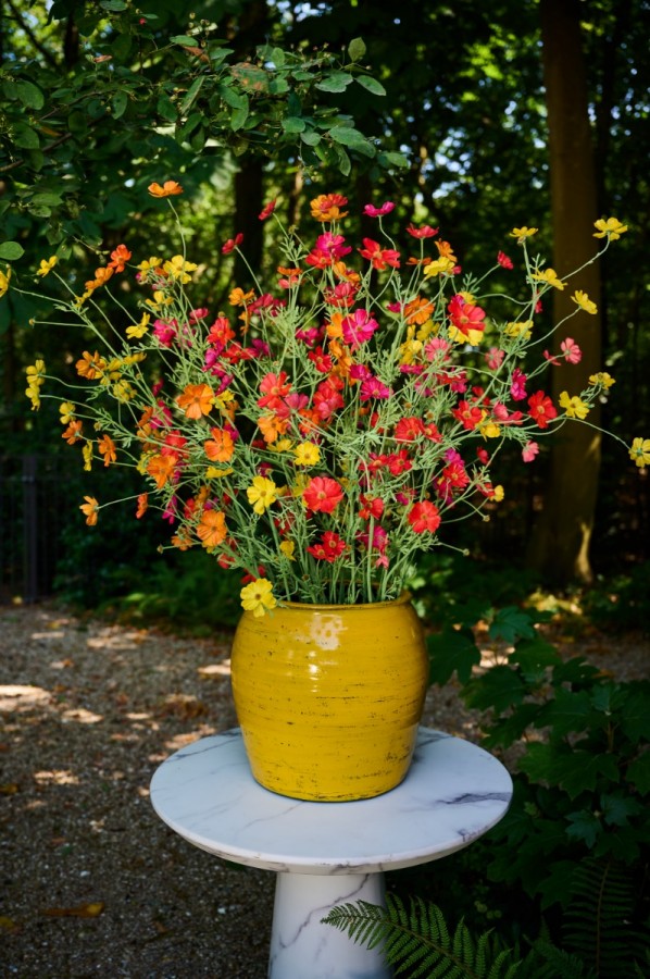 Cosmos tak roze 77 cm Silk-ka Real touch - Afbeelding 3