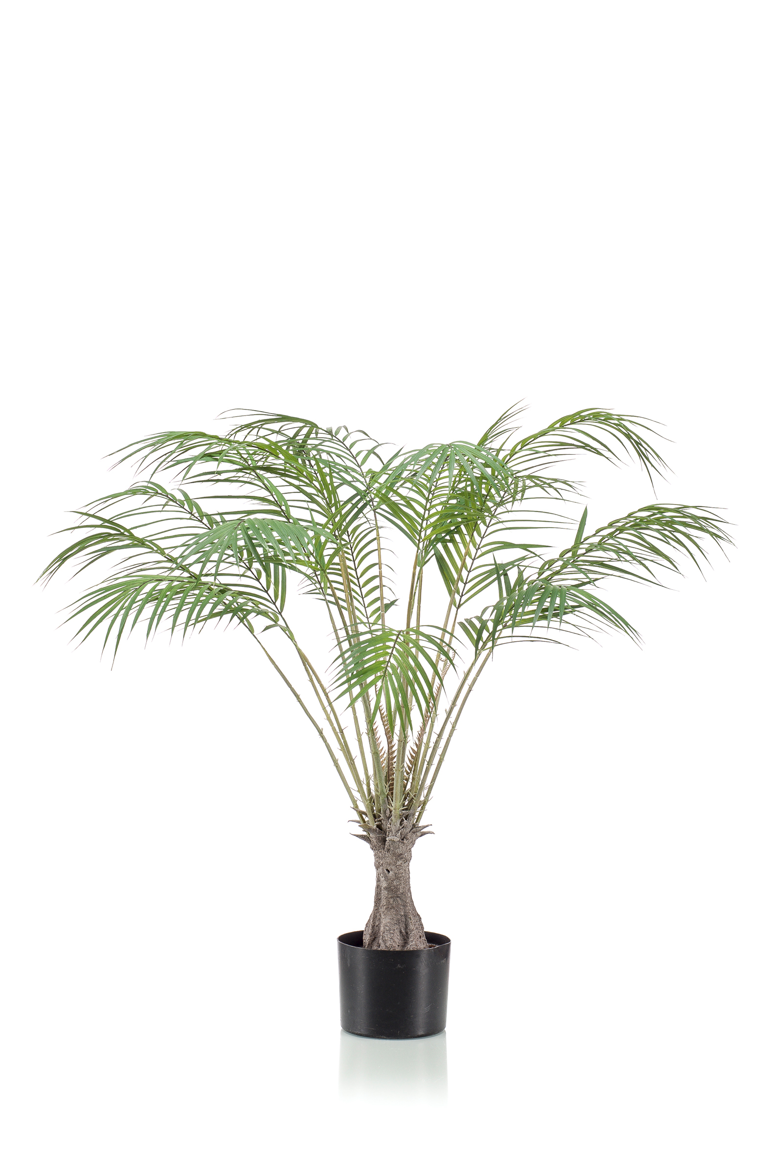 Varen/palm H100 cm - Afbeelding 2