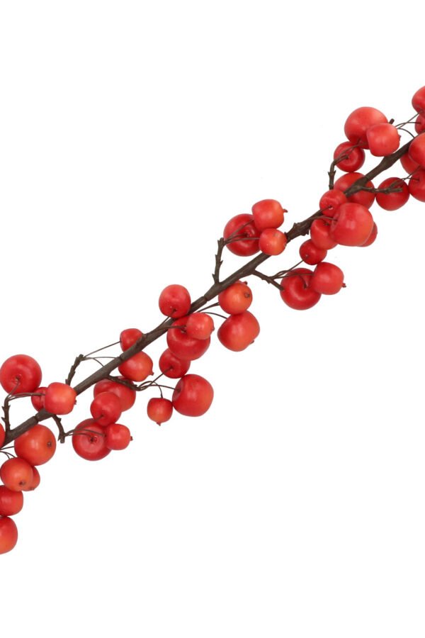 Appeltak rood groot 135 cm