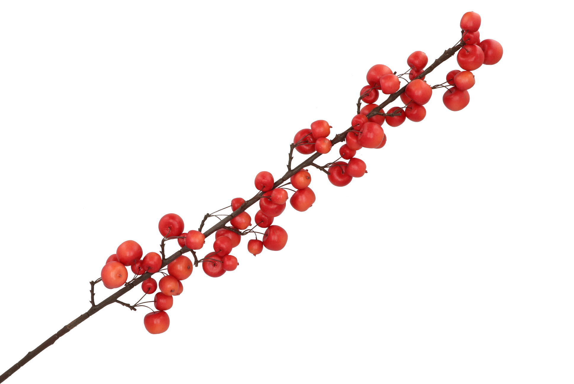 Appeltak rood groot 135 cm