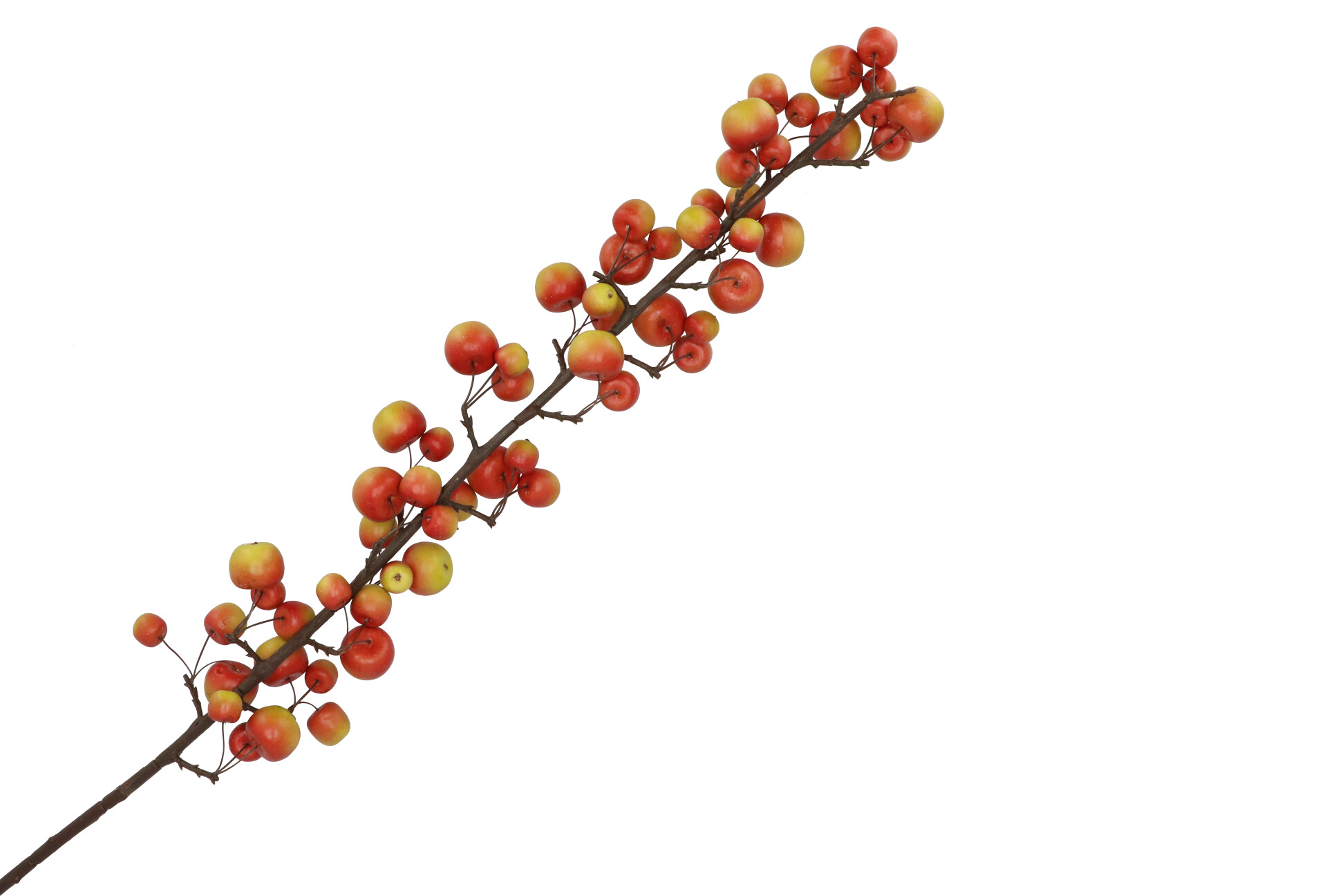 Appeltak rood groen groot 135 cm - Afbeelding 2