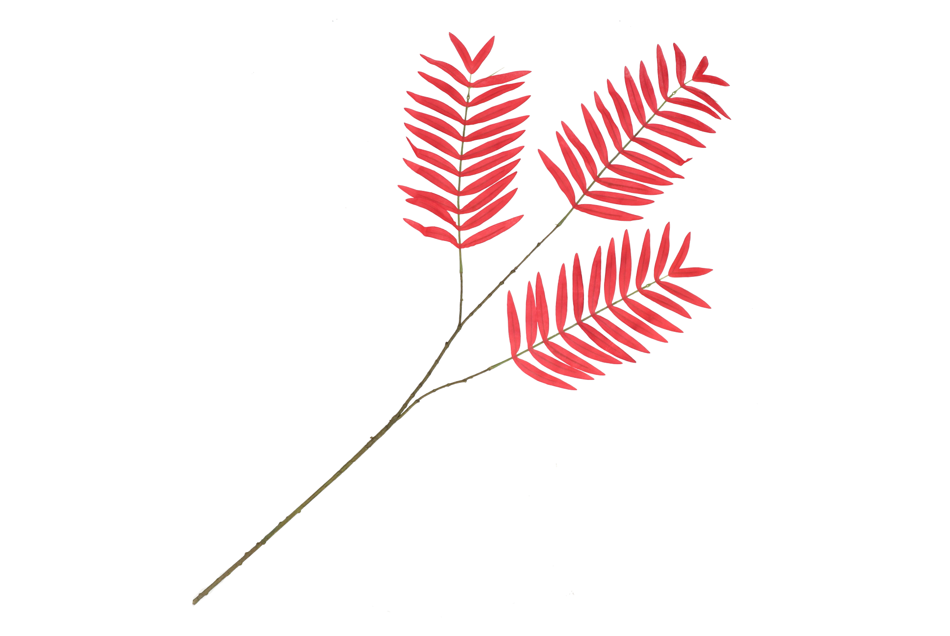 Palm blad rood 87 cm - Afbeelding 2