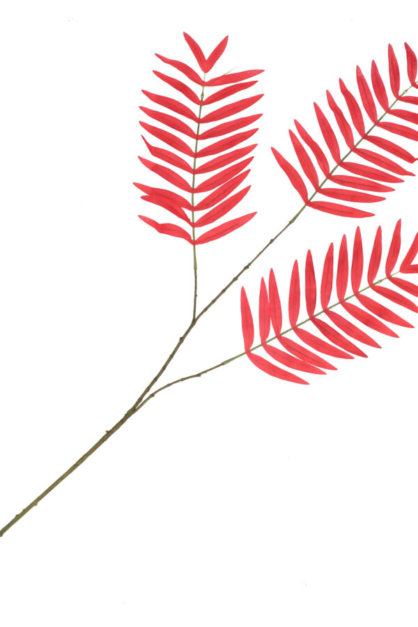 Palm blad rood 87 cm