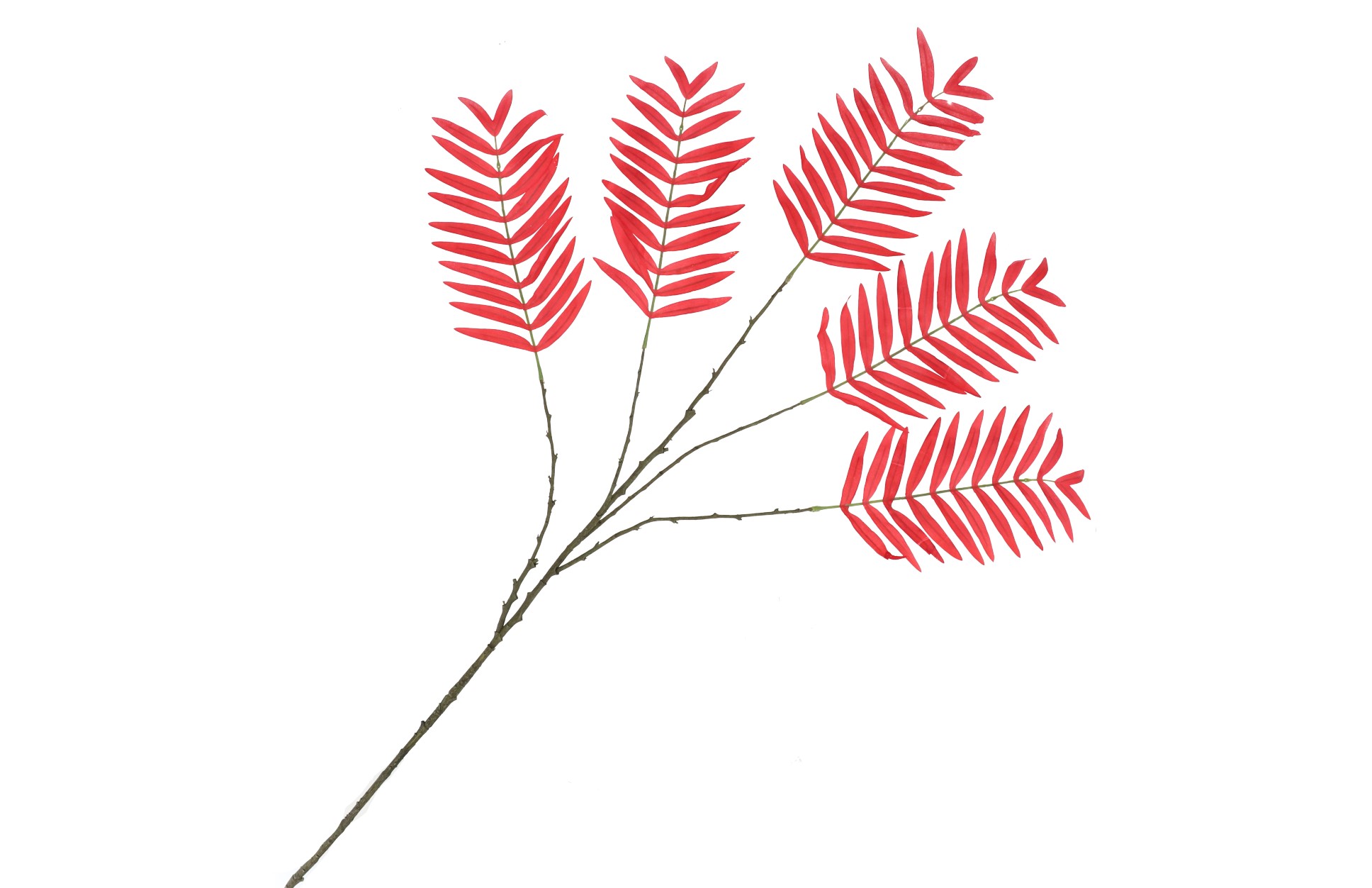 Palm blad rood 125 cm - Afbeelding 2