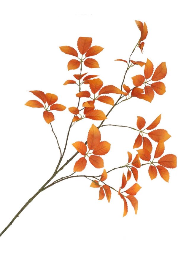 Bladtak oranje 124 cm