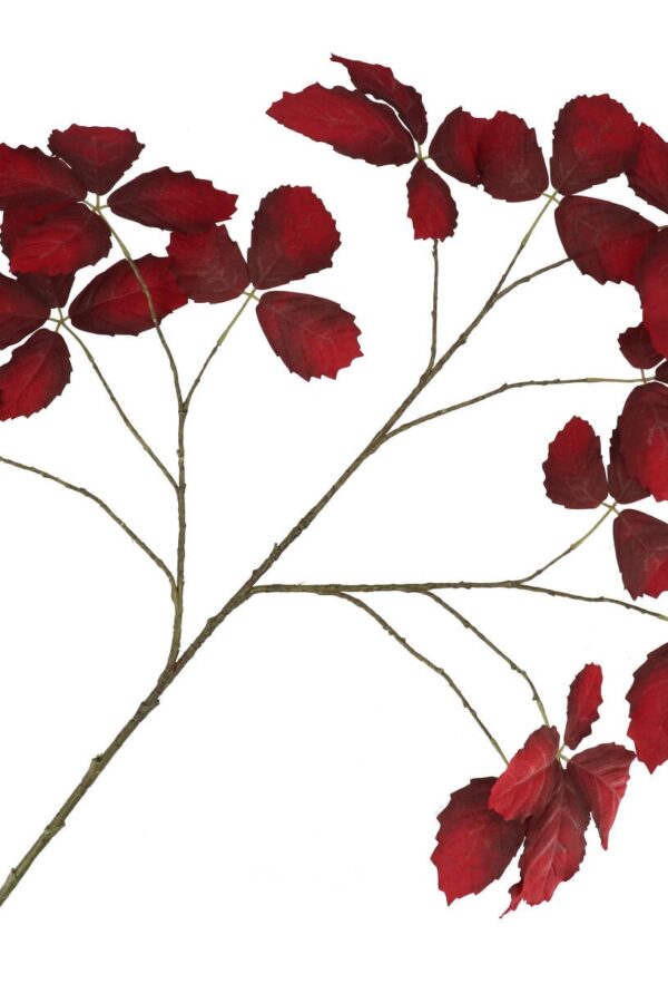 Bladtak donkerrood 135 cm