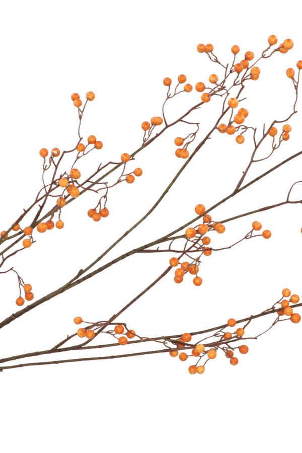 Bessentak geel oranje 135 cm