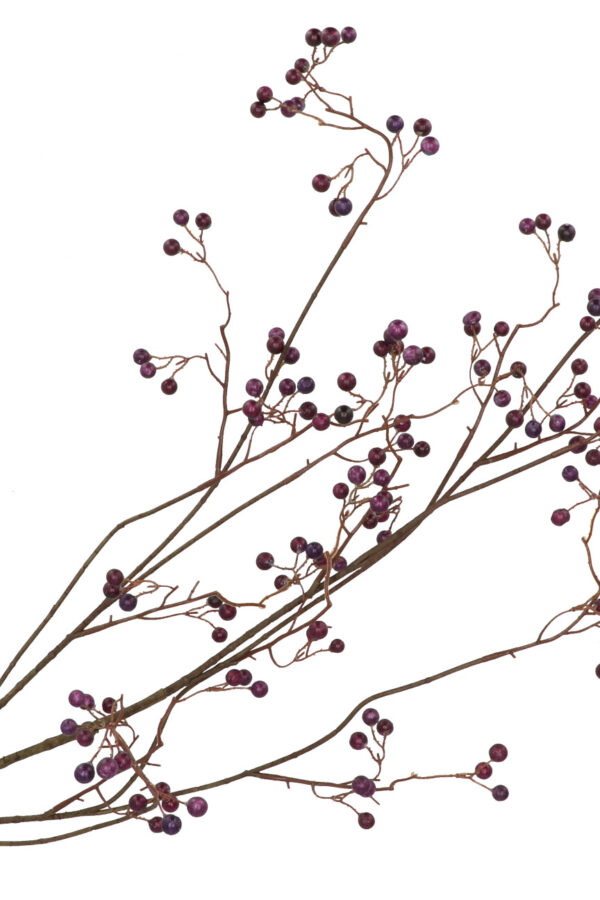 Bessentak paars 135 cm