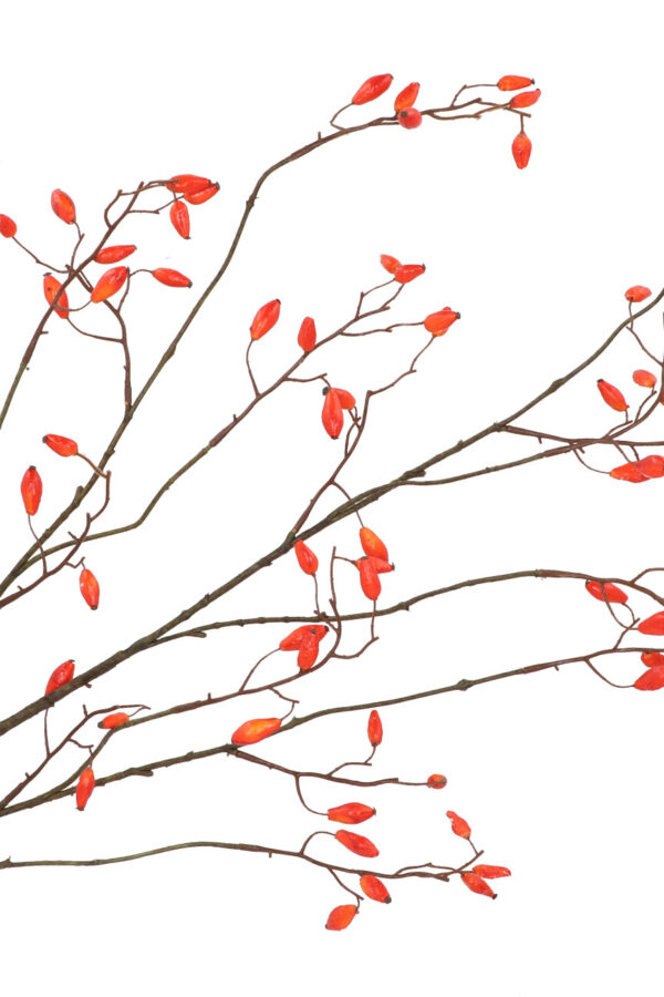 Rozenbottel oranje 133 cm