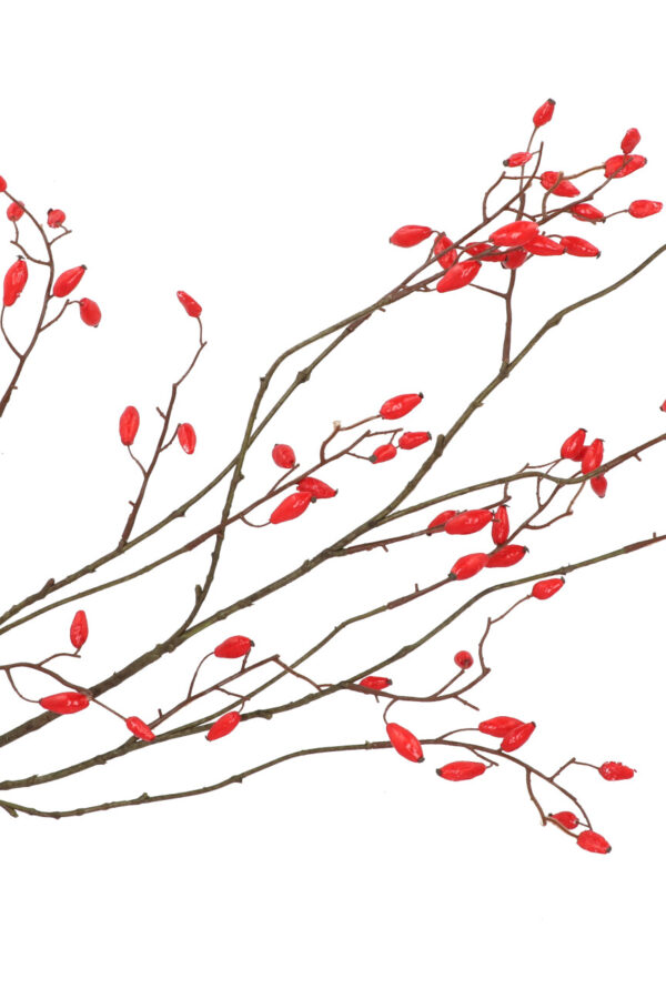 Rozenbottel rood 133 cm