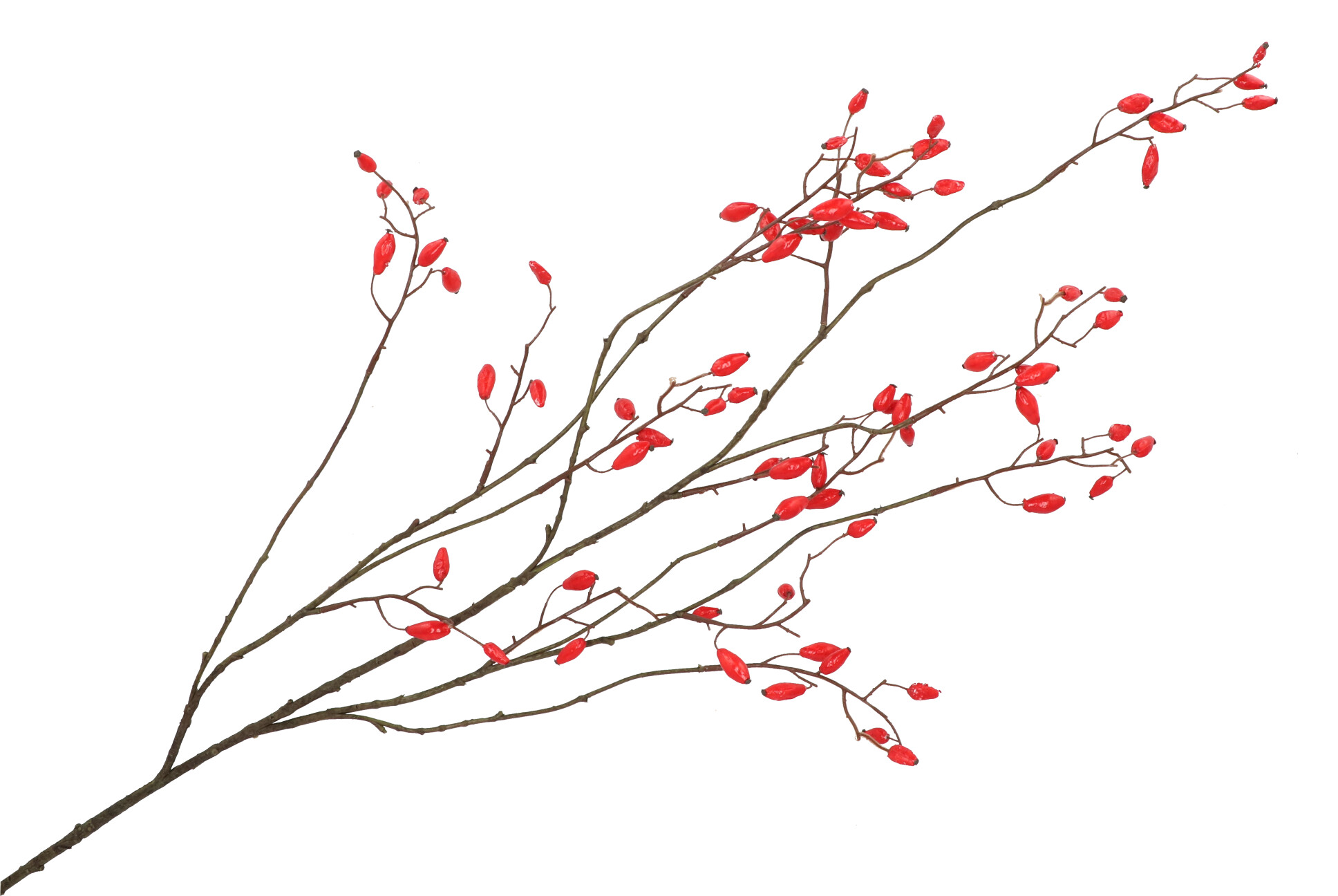 Rozenbottel rood 133 cm