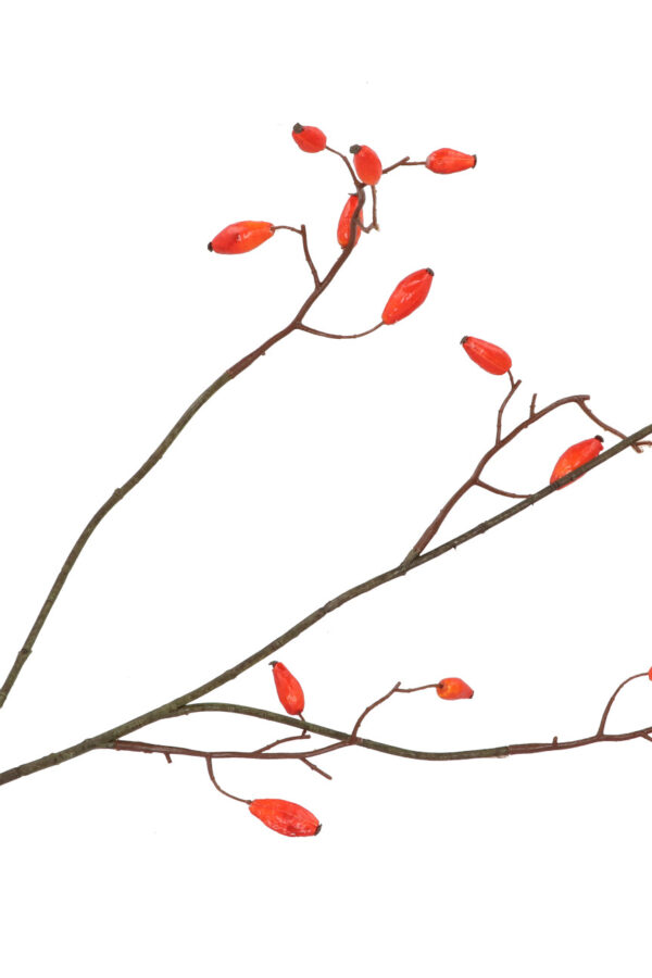 Rozenbottel oranje 93 cm