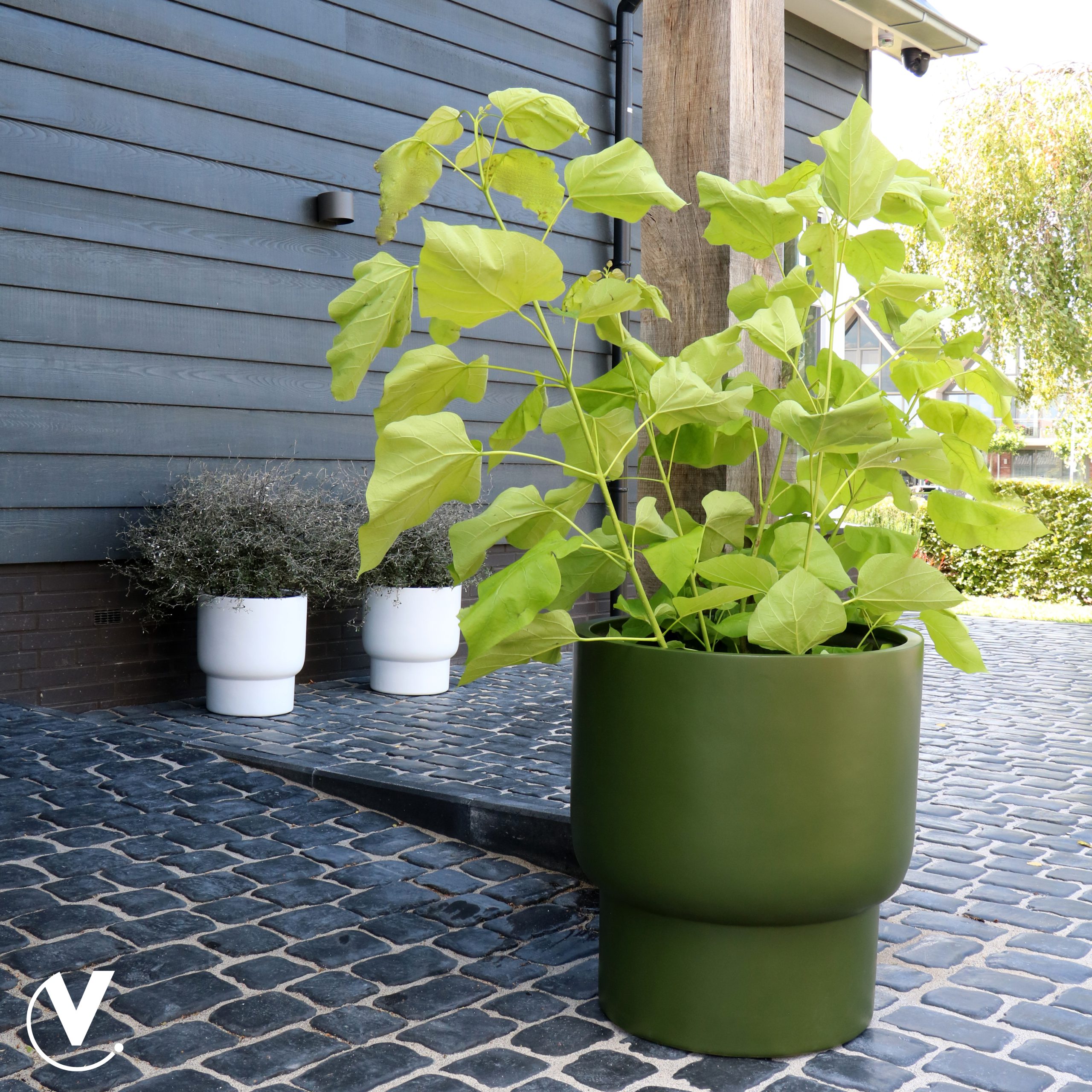 Rosa bloempot groen M - H50 - Afbeelding 3