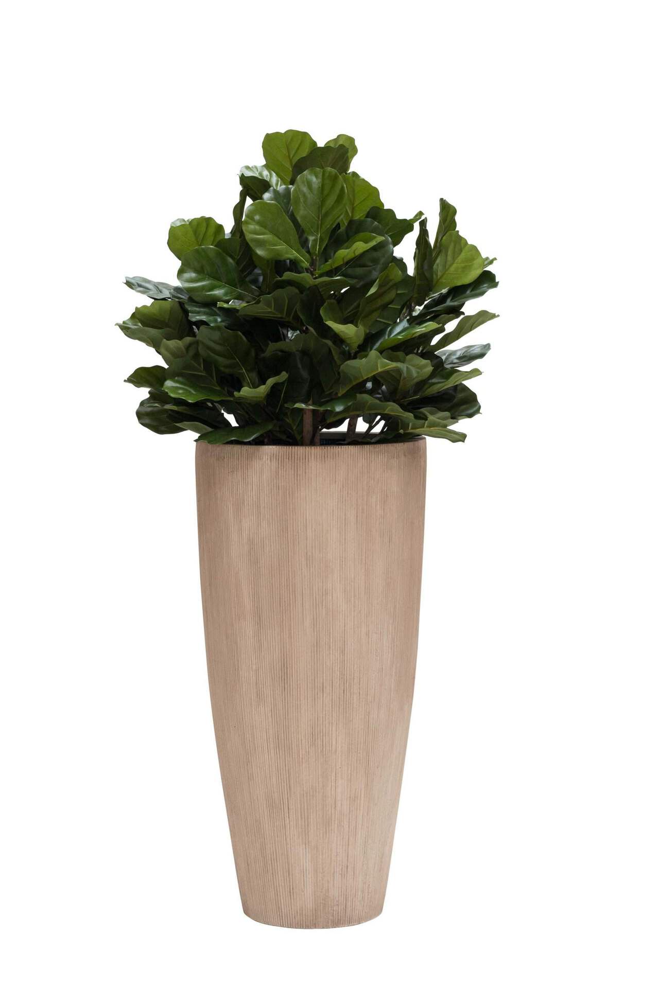 Grote bloempot / vaas Lava stripe hoogte 80 cm VTW