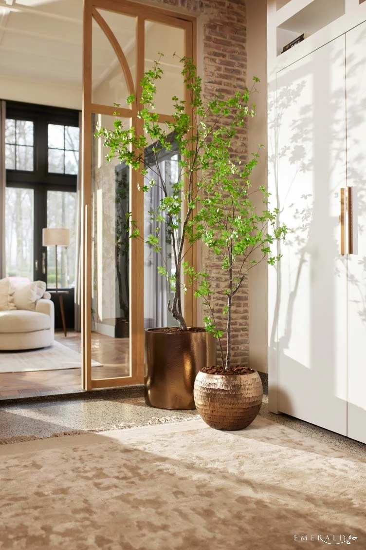 Oost-Indische kers plant/boom tropaeolum speciosum - H150 cm - Afbeelding 2