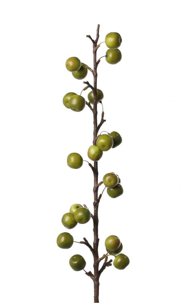 Appeltak groen 97 cm