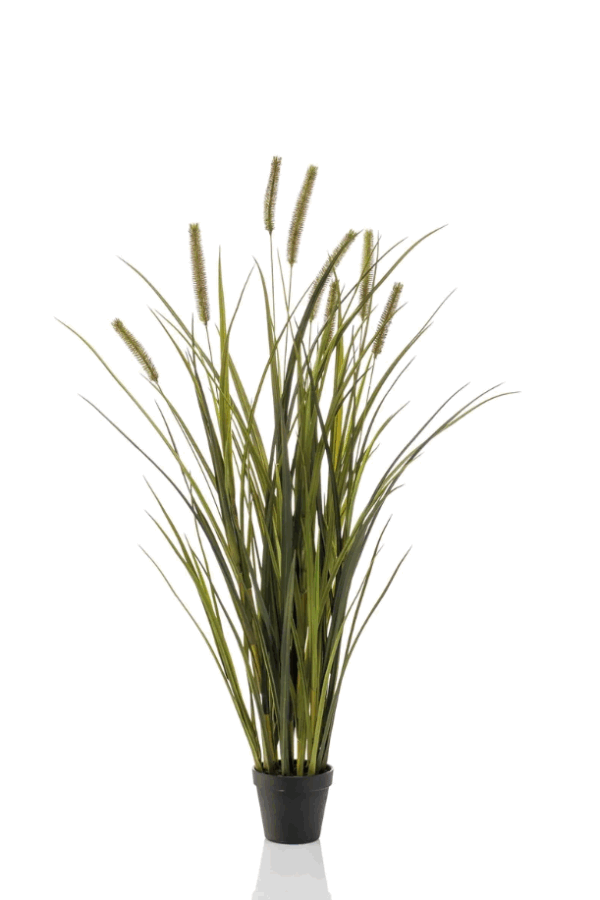 Gras pluimplant -H100 cm