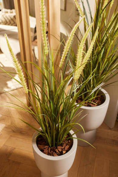 Gras smalle pluim plant -H115cm - Afbeelding 3