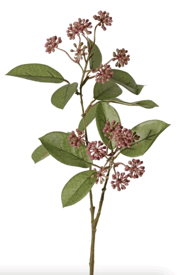 Bessentak schoenknop roze 70 cm